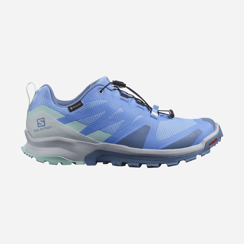 Salomon XA ROGG GTX W Zapatillas Trail Running Mujer - Azules - Colombia (57469-DSPU)